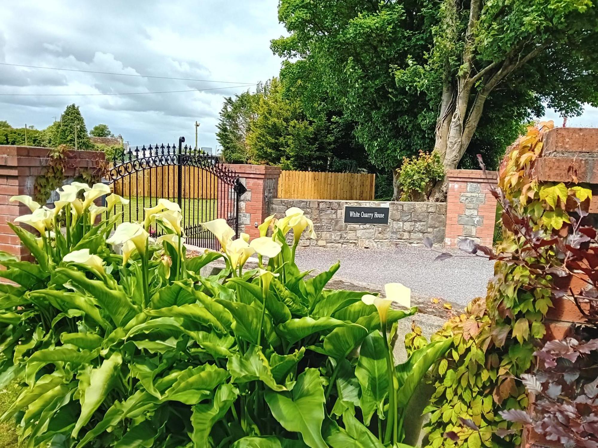 White Quarry Hse Quarry Road Guest House Navan Luaran gambar