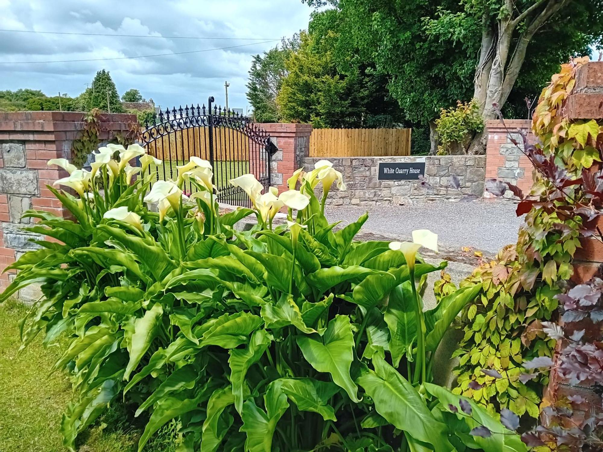 White Quarry Hse Quarry Road Guest House Navan Luaran gambar